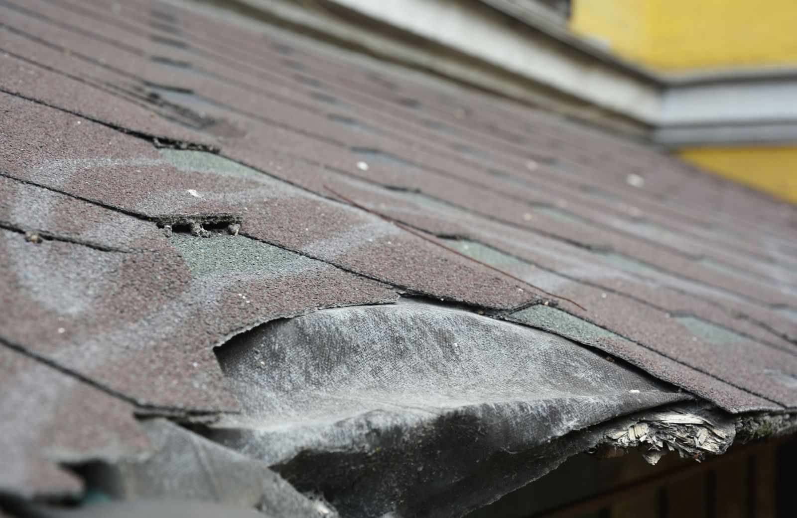 Rock River Roofing Images